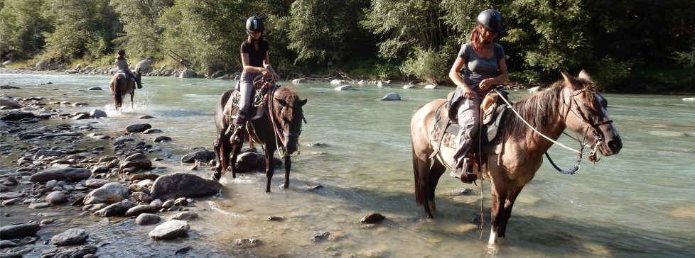 reiten im Rhein